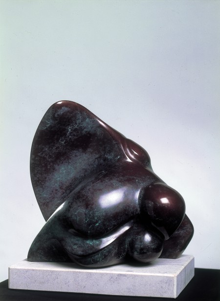 Gavilán e Paloma