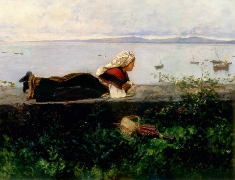 Paisaje con gallega